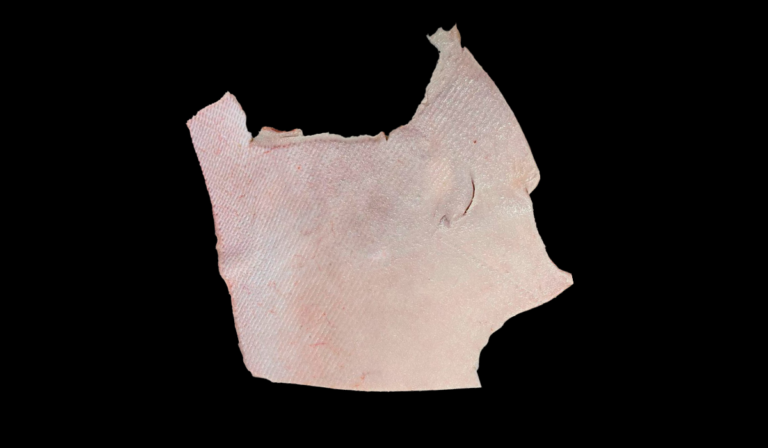cuero-2