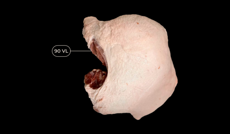 pulpadejamon-1
