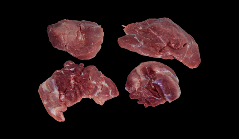 pulpadejamon-5