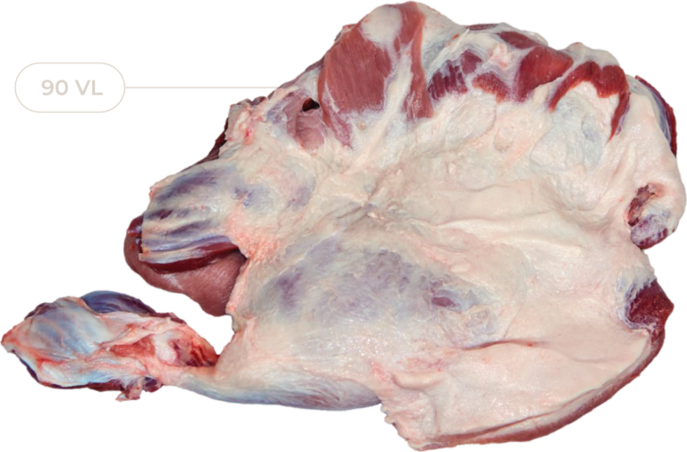 pulpadepaleta-1