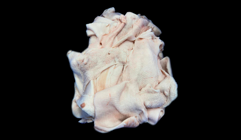recortedegrasa